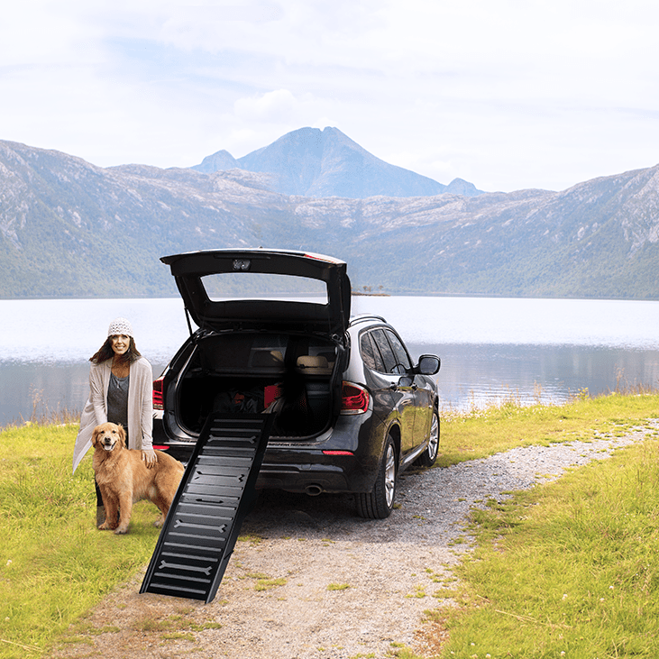 All For Paws Car Ramp 4 Fold Pet Horse & Farm