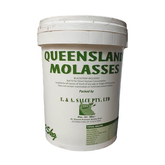 Queensland Molasses Pet Horse & Farm