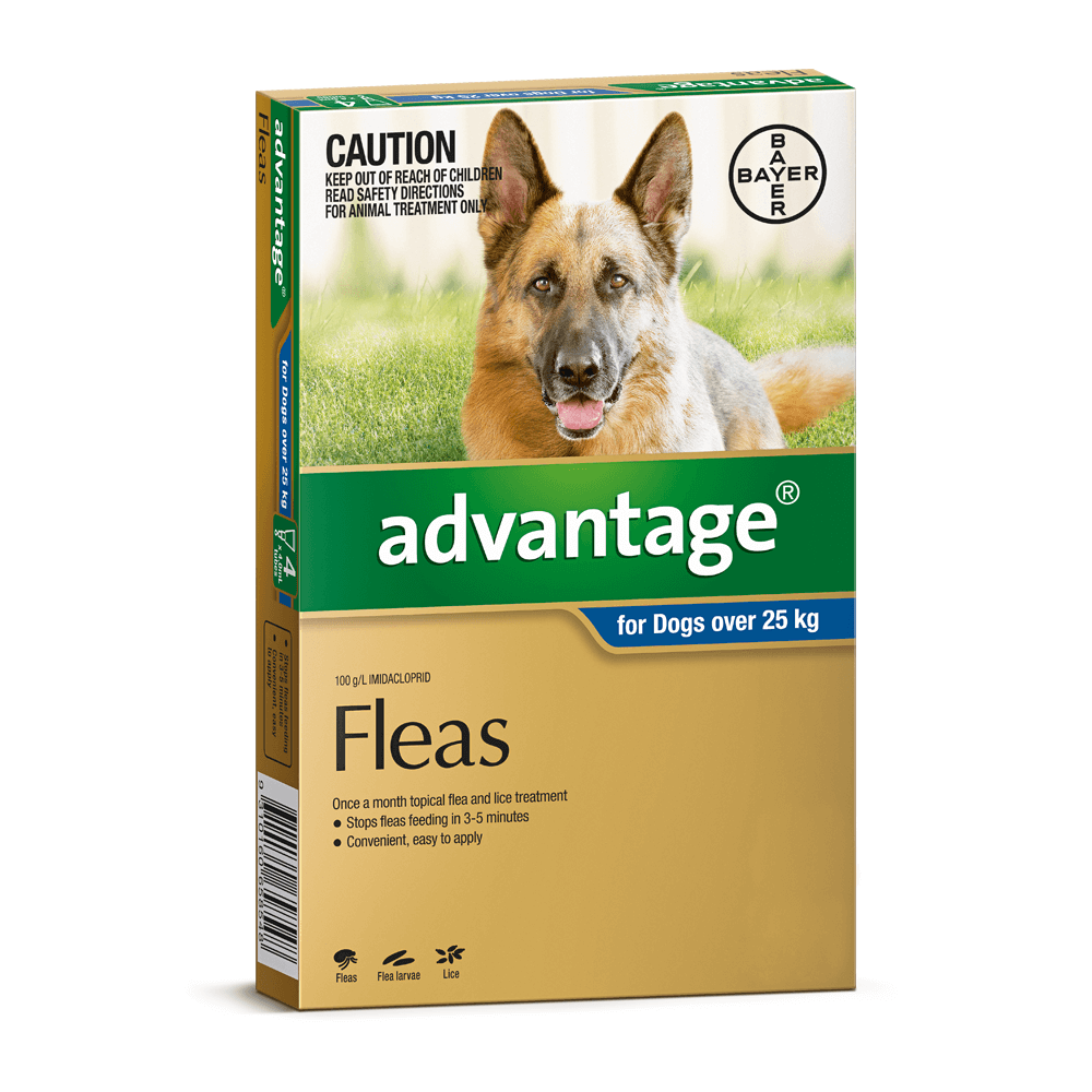 Flea treatment best sale for dogs australia