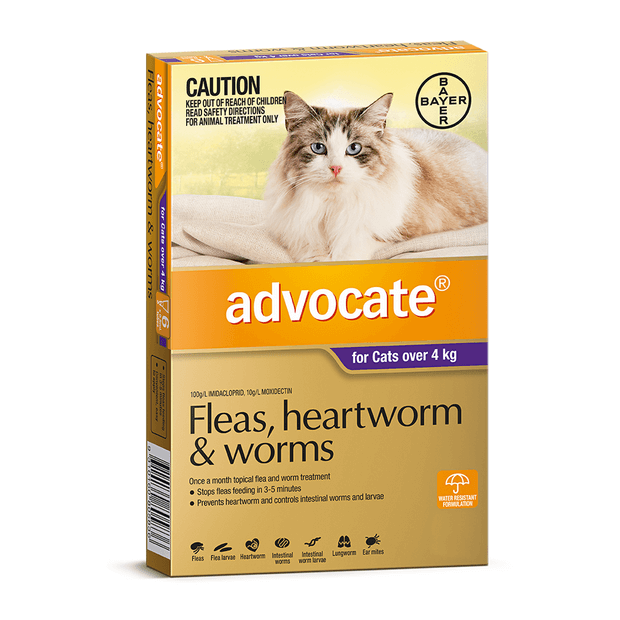 Advocate kitten flea treatment sale