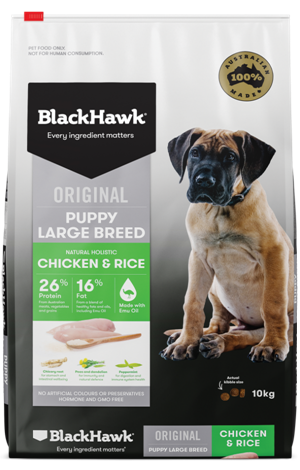 Black hawk large deals breed